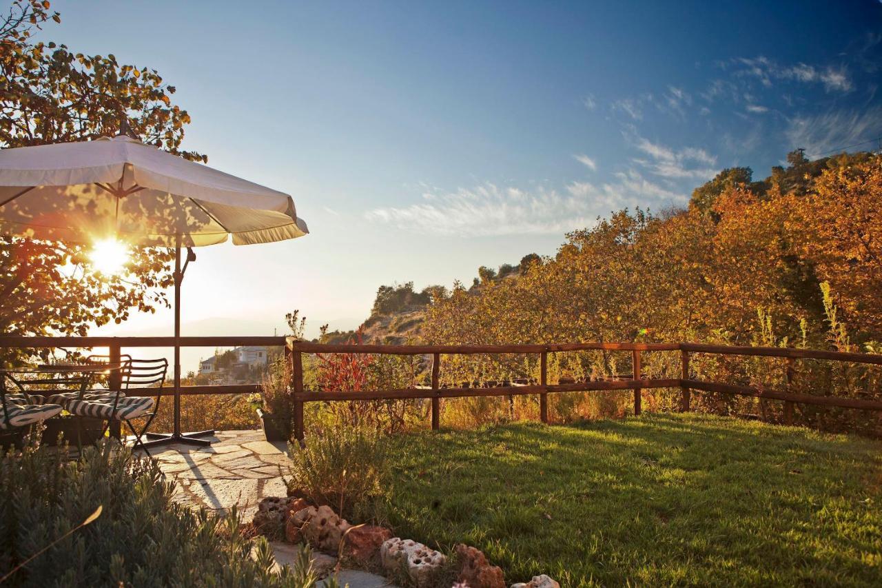 Pelion Homes Agios Georgios Nileias Esterno foto